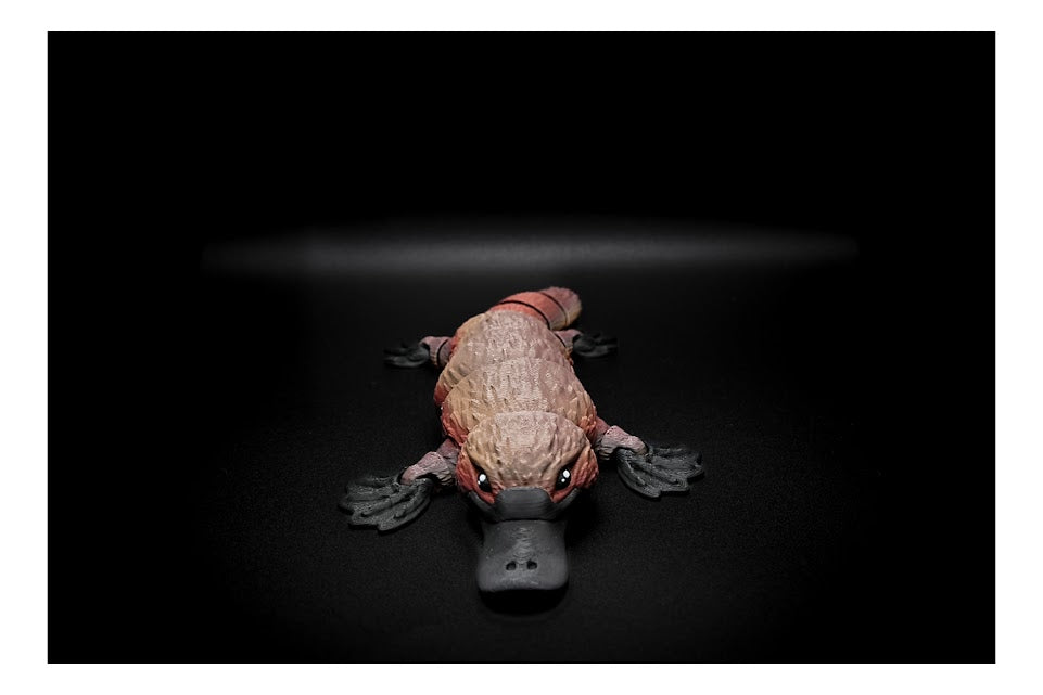 π¦¦π Duck-Billed Platypus β Quirky & Adorable! π𦦠($5-$20)