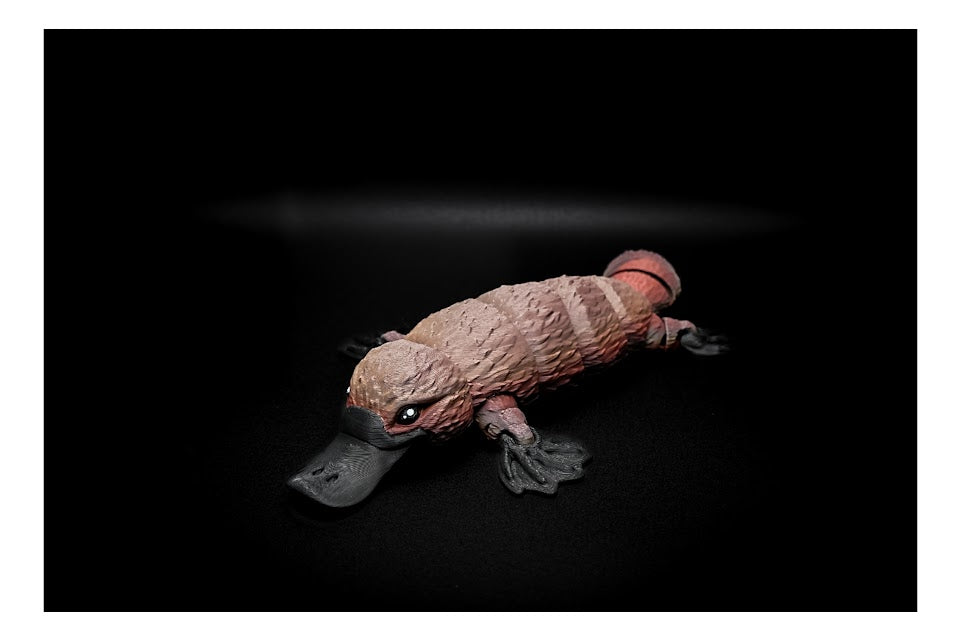π¦¦π Duck-Billed Platypus β Quirky & Adorable! π𦦠($5-$20)