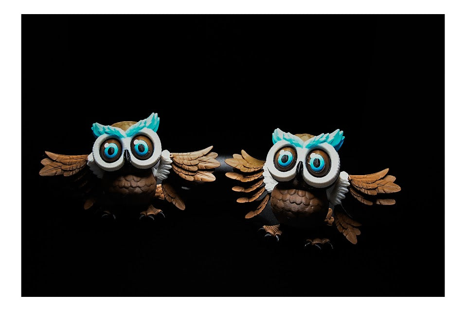 π¦β¨ Flexi Owl β Big Eyes, Big Charm! β¨π¦ ($3β$20)