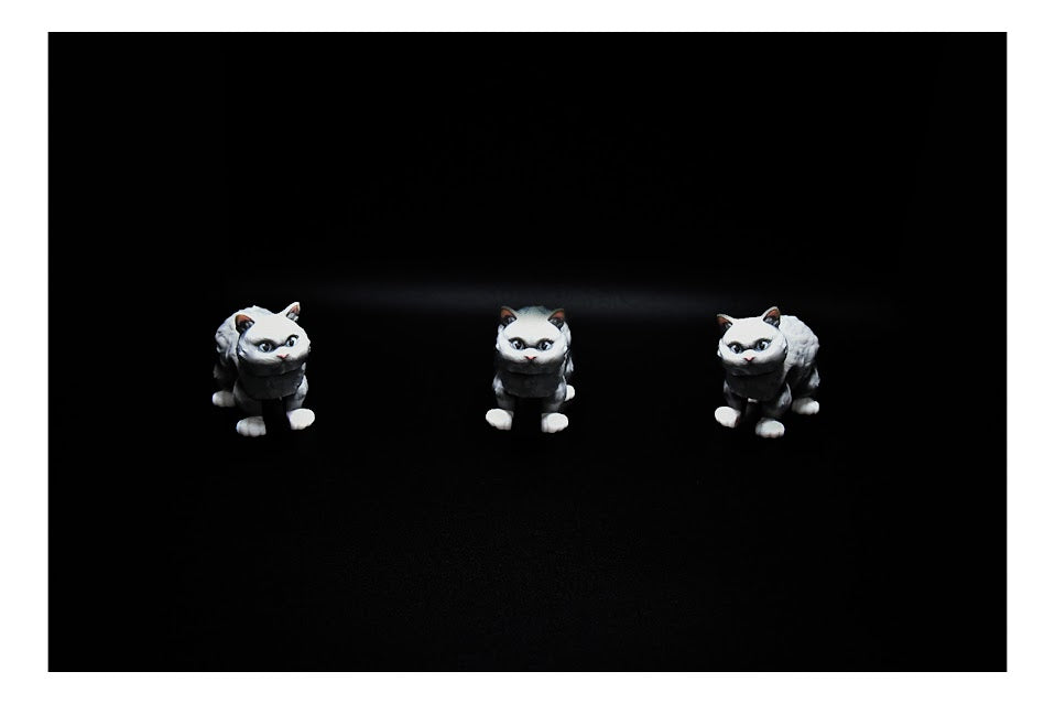 πΎπ± British Shorthair Cat β Classy, Calm, and Collectible! π±πΎ ($3β$20)
