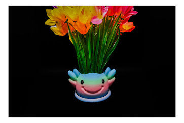 🌿🦎 Axolotl Planter – Smiles & Sprouts in One! 🦎🌿 $5 – $10