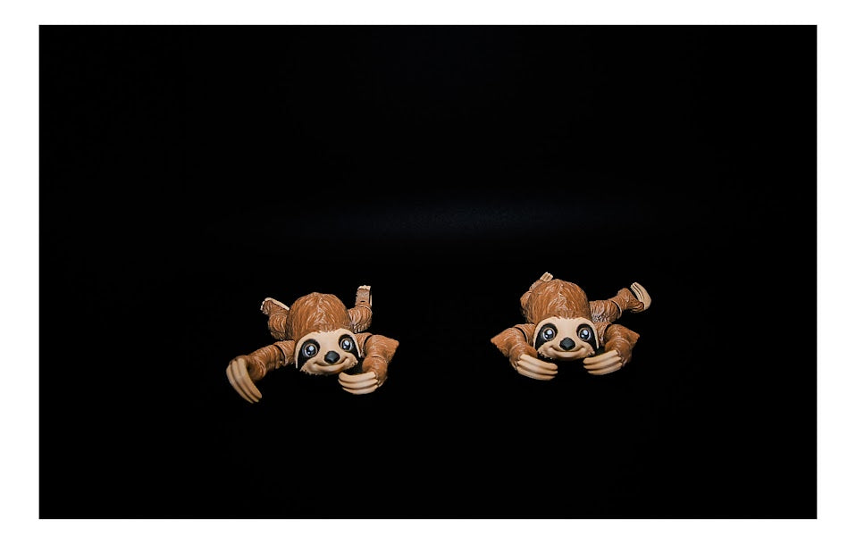 π¦₯β¨ Chill Hanging Sloth β Hang Out in Style! πΏ ($3β$20)