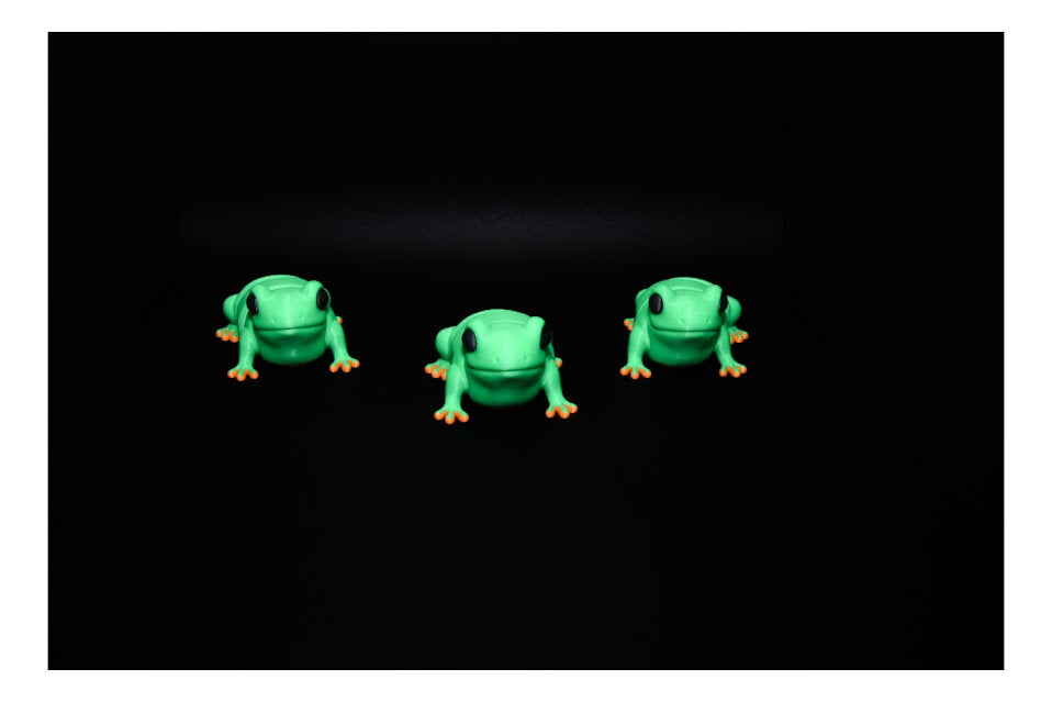 Flexi Frog – Articulated Amphibian by 3Deep ($3-$20)