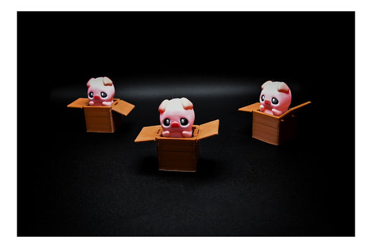 🐷📦 Pig in a Box Fidget Clickers – Boxed Pals! 📦🐷 ($3 each)
