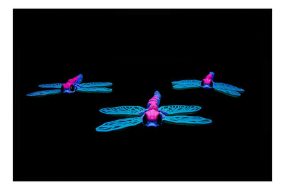 🧚‍♀️🌸 Fluttering Dragonfly Flexi – Cinderwing Magic! 🌸🧚‍♂️ ($3–$20)