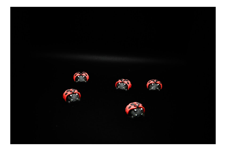 🐞🌼 Ladybug Critter – Spring Charm in Every Spot! 💫 ($3–$20)