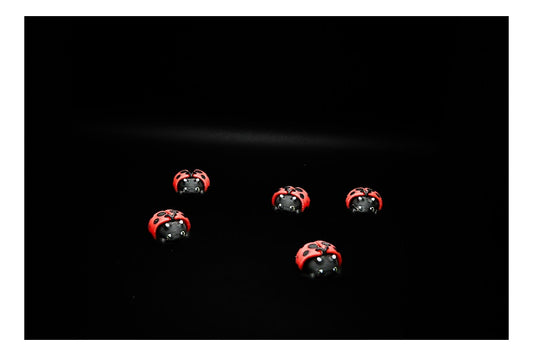 🐞🌼 Ladybug Critter – Spring Charm in Every Spot! 💫 ($3–$20)