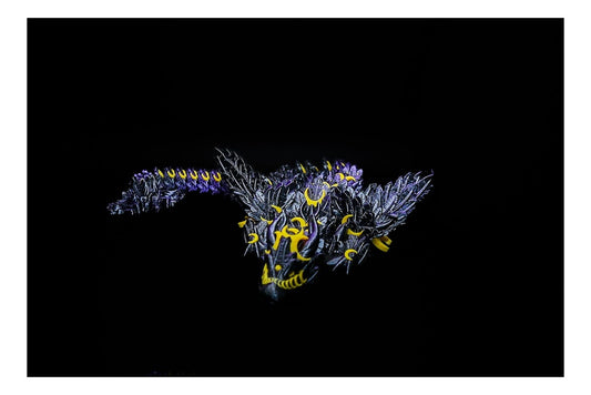 🌙🐉 Lunarwing Dragon – Celestial Majesty Unleashed! 🐉🌙 ($5-$20)