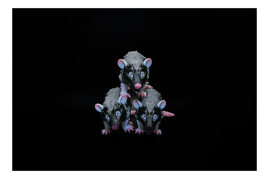 🐾😱 Panic Possum – Backyard Chaos Series! 😱🐾 ($3–$20)