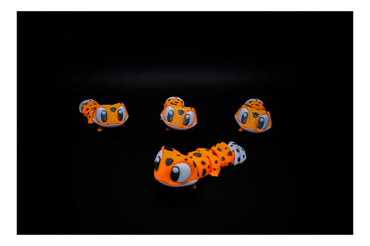 🧡🦎 Spotted Slinky Gecko – Jungle Wigglers Series! 🦎🧡 ($3–$20)