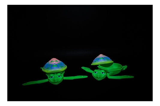 🐢🌈 Flexi Turtle with Pop-Off Shell – Chill Shell Time! 🌈🐢 ($3–$20)