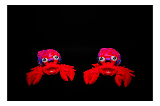 🦀🎨 Flexi Hermit Crab – Crabby & Colorful! 🎨🦀 ($3–$20)