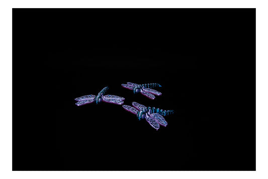 🧚‍♀️🌸 Fluttering Dragonfly Flexi – Cinderwing Magic! 🌸🧚‍♂️ ($3–$20)