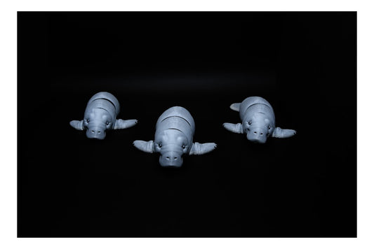 Gentle Sea Cow – Flexi Manatee by MatMireMakes ($5-$20)