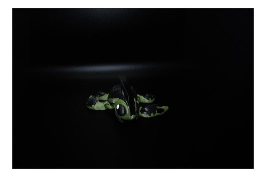 🐢💣 Grenurtle – Explosively Adorable & Armored to Flex! 💣🐢 ($5–$20)