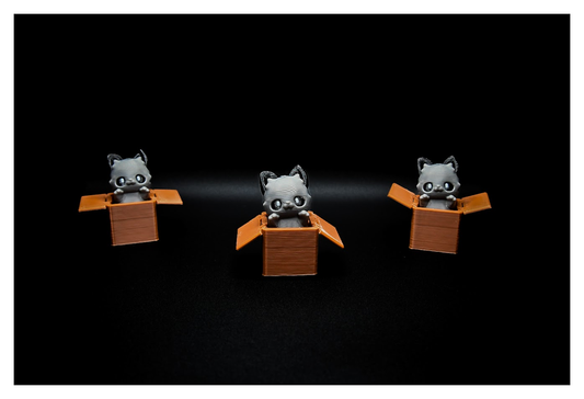 🐱📦 Flexi Kitty Fidget Clickers – Box of Surprises! 📦🐱 ($3 each)