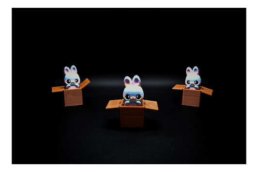 🐰📦 Bunny in a Box Fidget Clickers – Boxed Playmates! 📦🐰 ($3 each)
